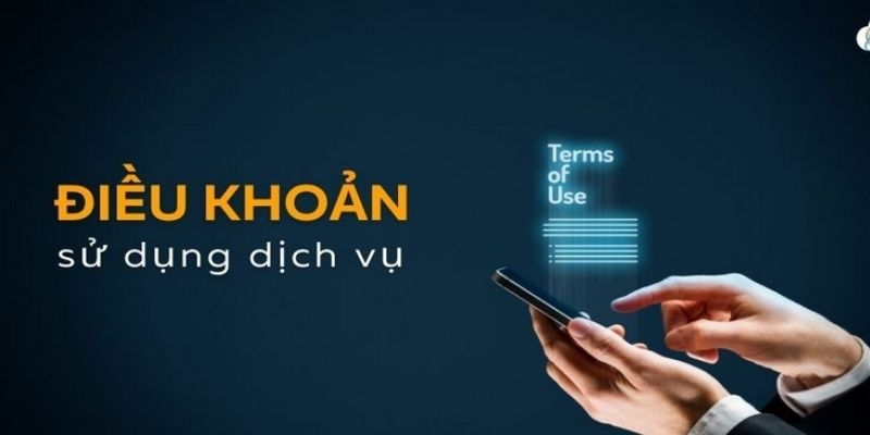 Điều khoản liên quan đến trách nhiệm đôi bên cần nhớ