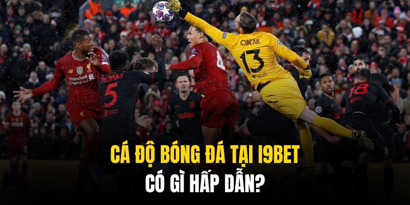 Những tính năng đặc biệt được trải nghiệm tại sảnh bóng đá của i9bet